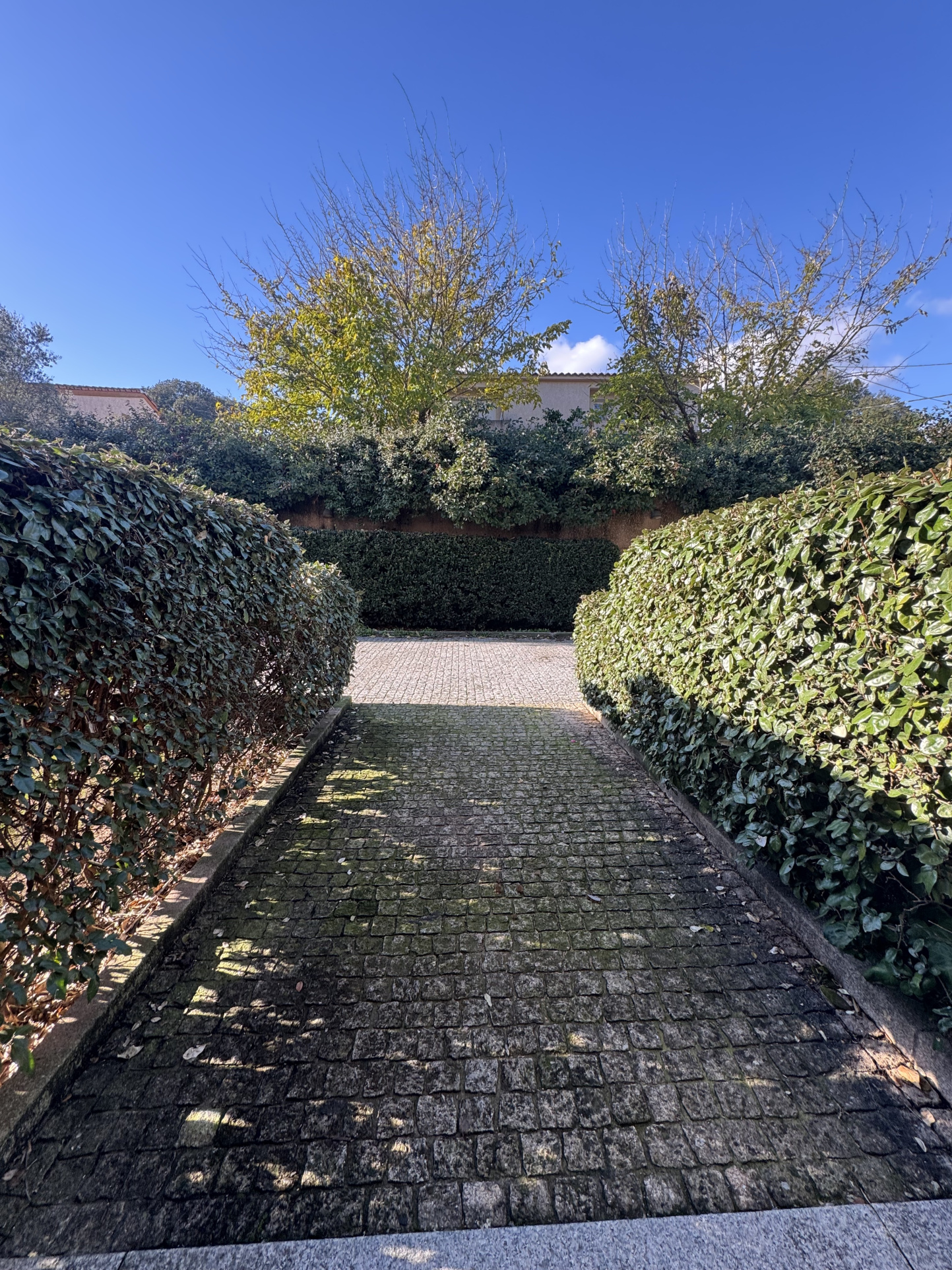 Exclusivité   Superbe T2 de 50 m2 avec Terrasse de 115 m2