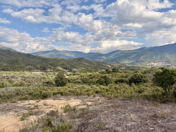 EXCLUSIVITÉ – Vente terrain à bâtir à Tiuccia