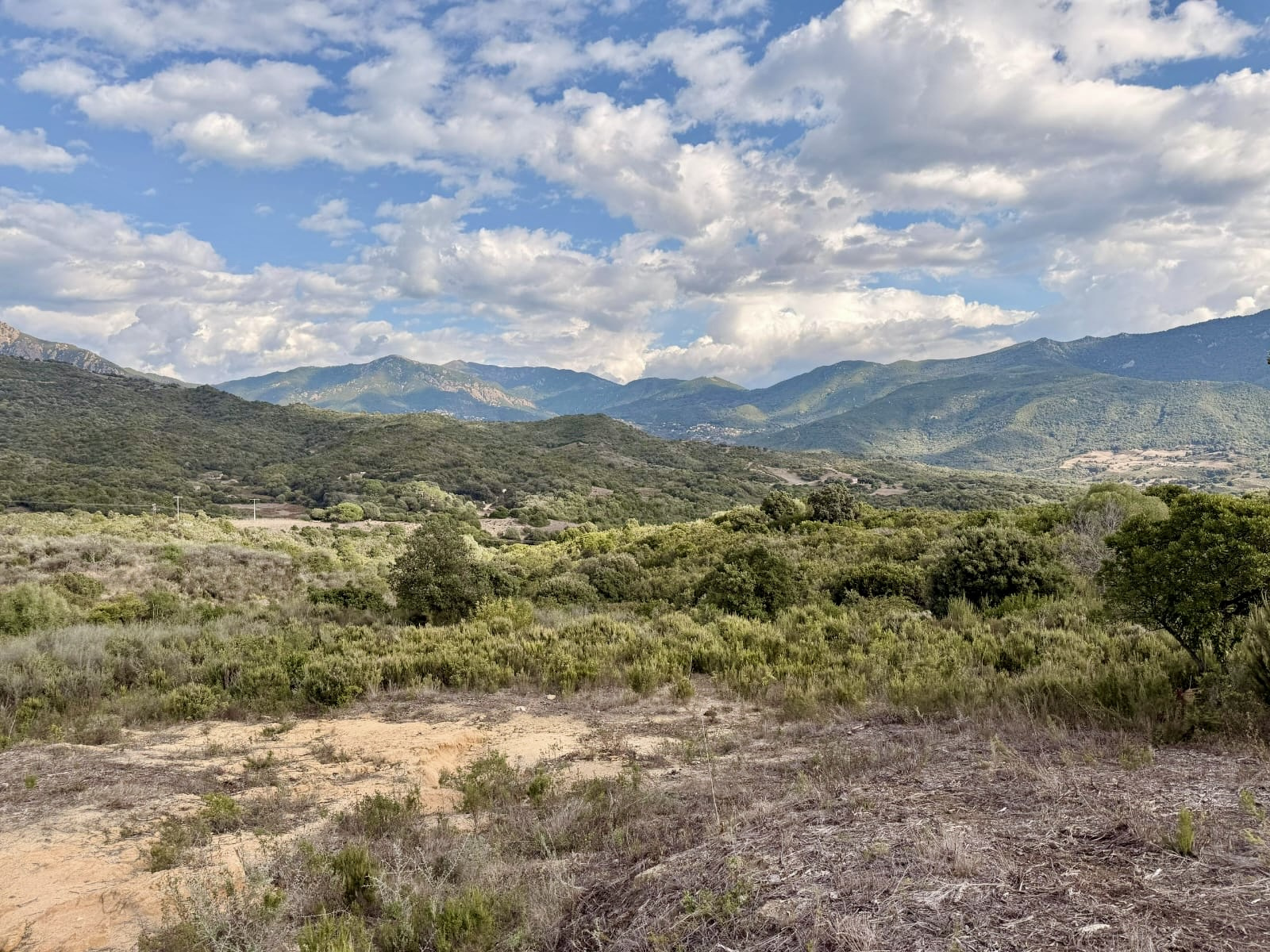 EXCLUSIVITÉ – Vente terrain à bâtir à Tiuccia