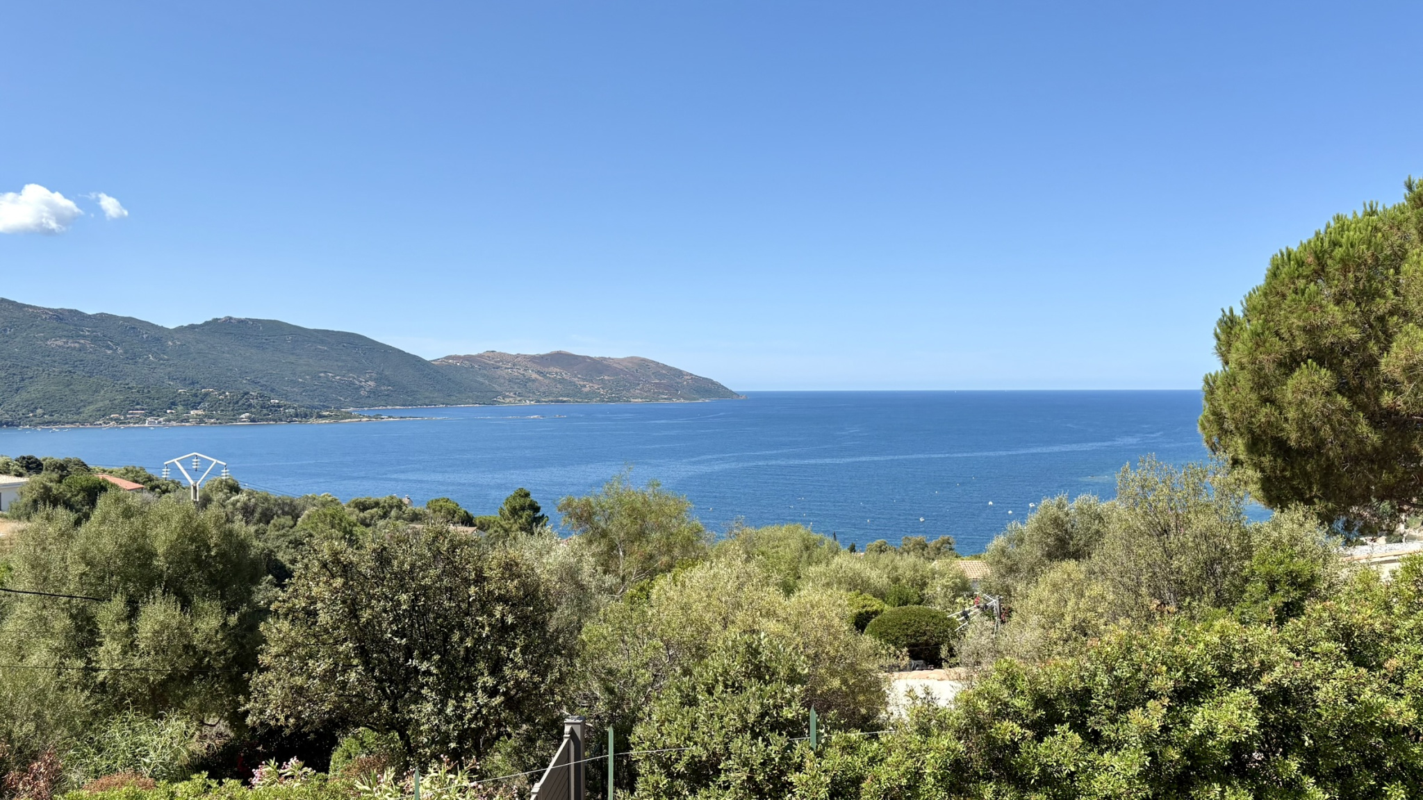 VENTE T2 VUE MER TIUCCIA