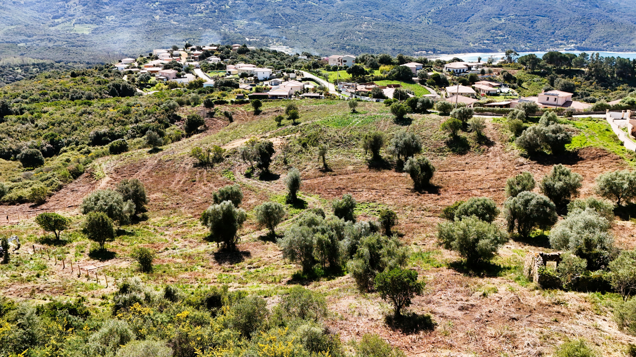 Terrain à vendre – Les Jardins de Talbato