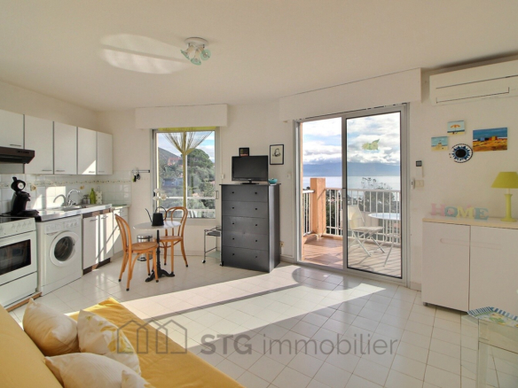 Vente studio route des Sanguinaires