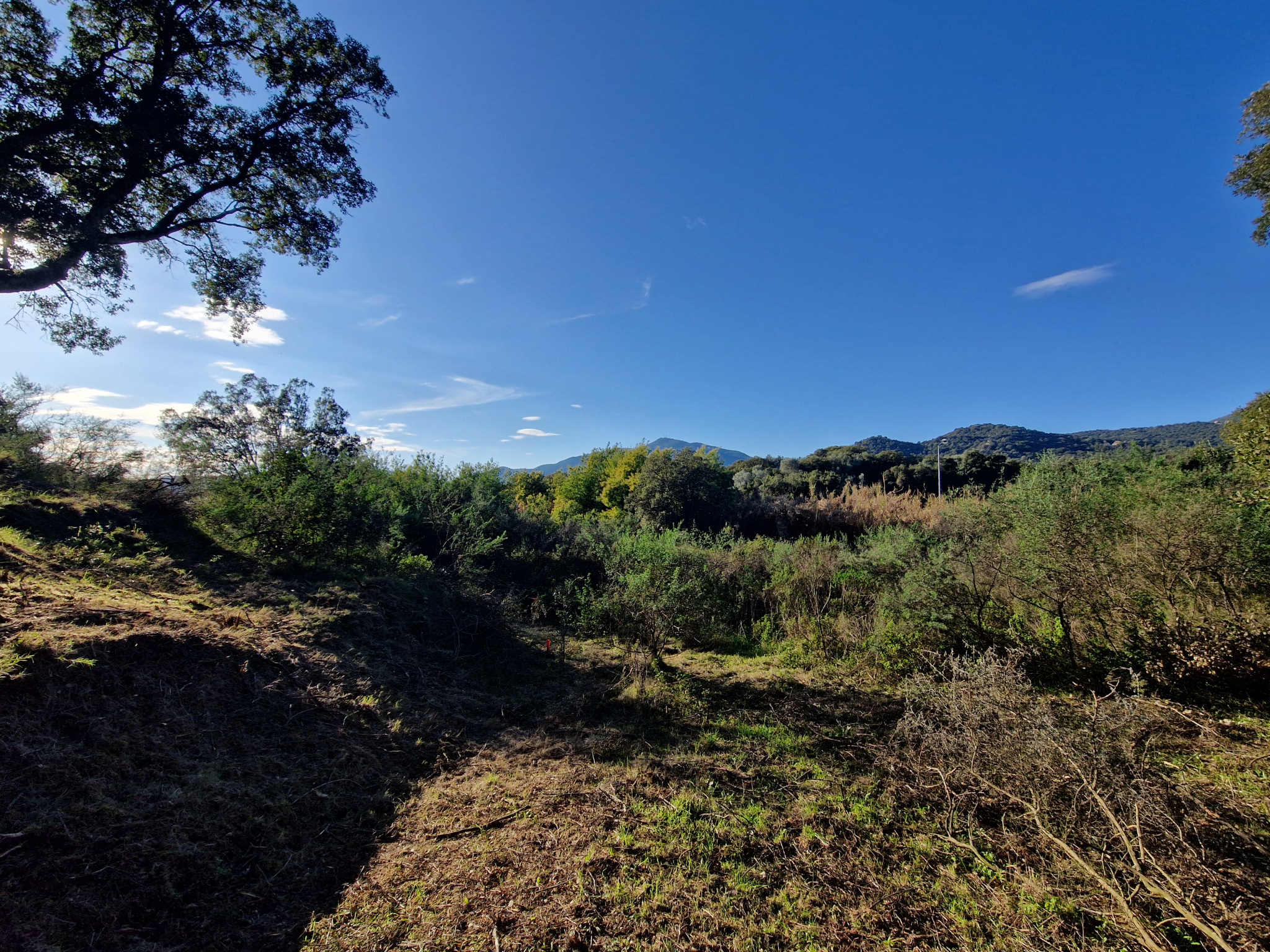 Vente appartement T3 Suartello
