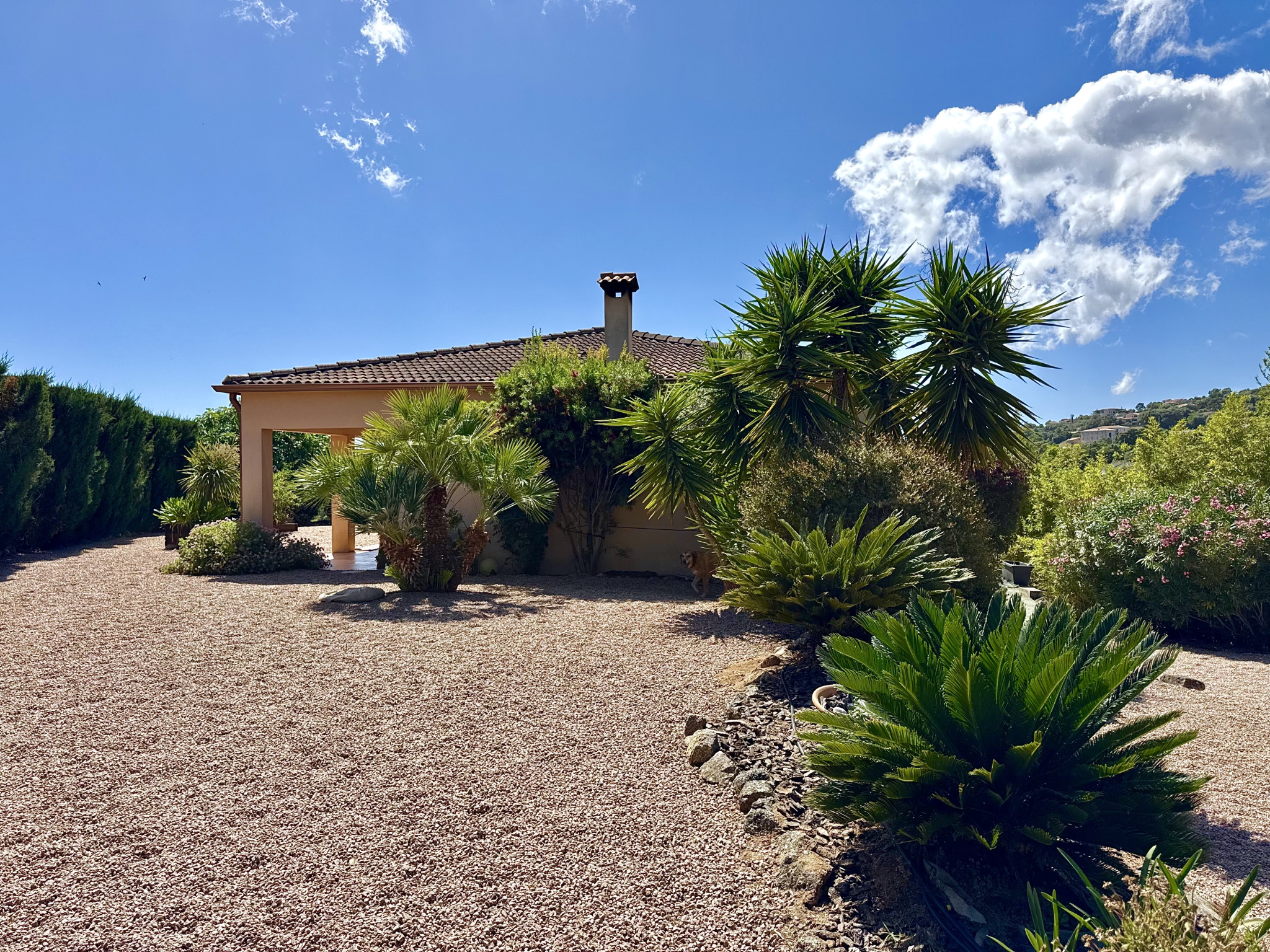 Vente villa avec piscine Bastelicaccia