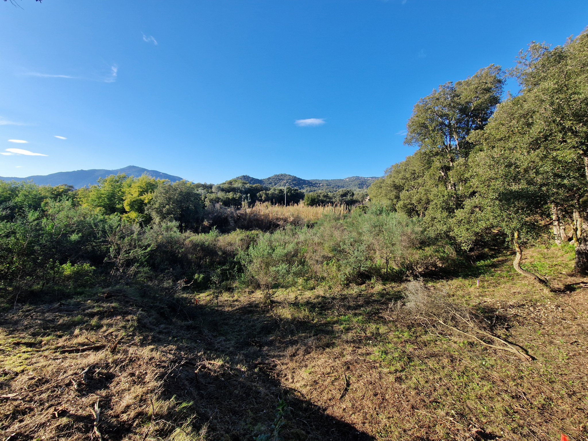VENTE T2 SUARTELLO AJACCIO