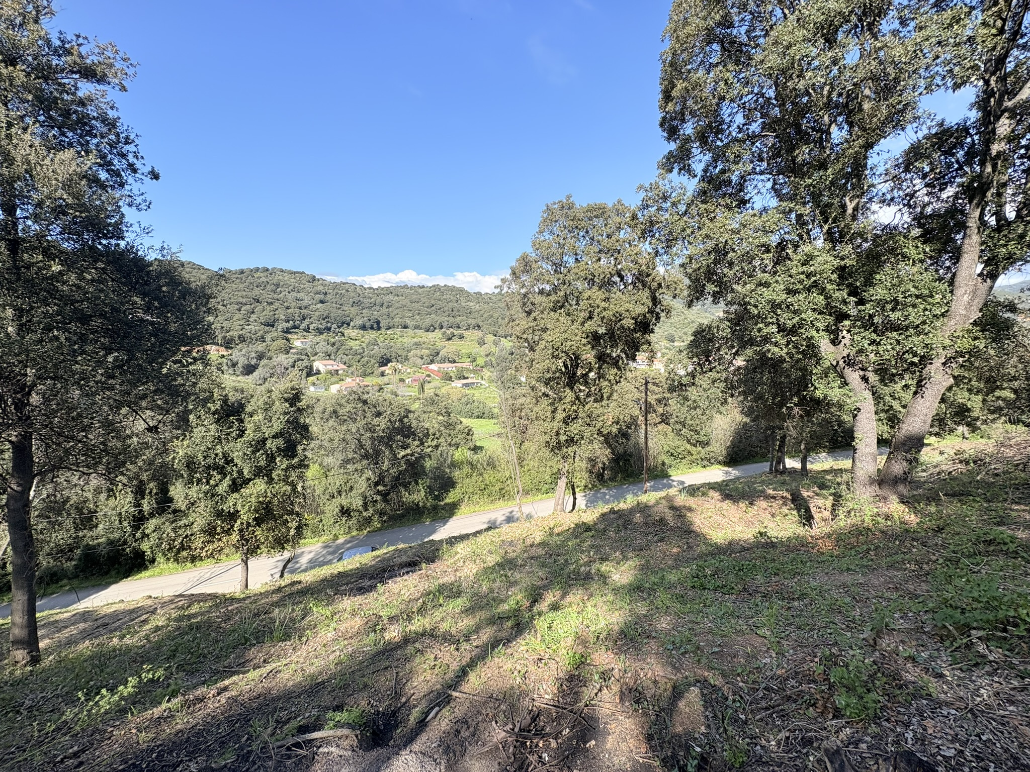 Vente Terrain Casaglione